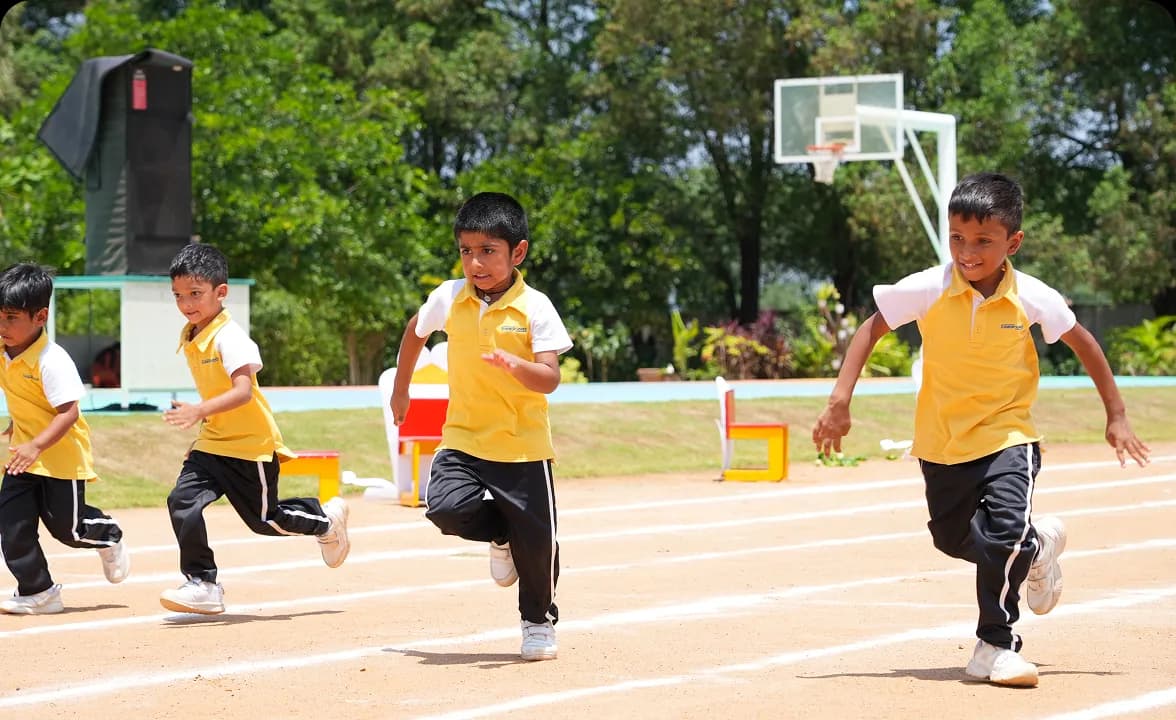 Physical Fitness and Sports